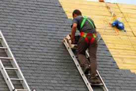 Best Chimney Flashing Repair  in Pea Ridge, FL